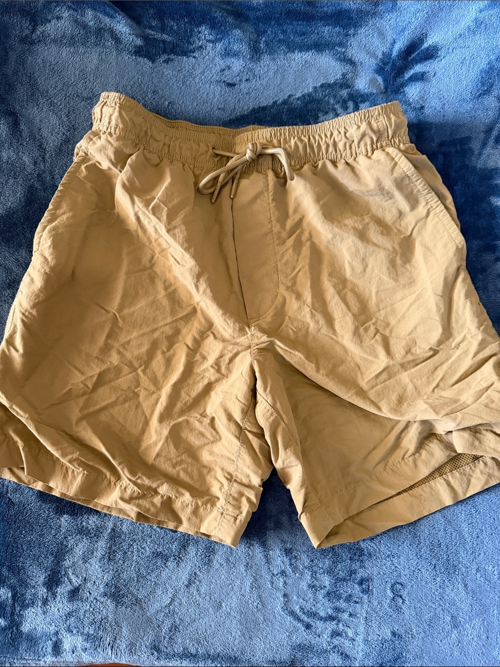 American Eagle Tan Mesh-Lined Casual Shorts